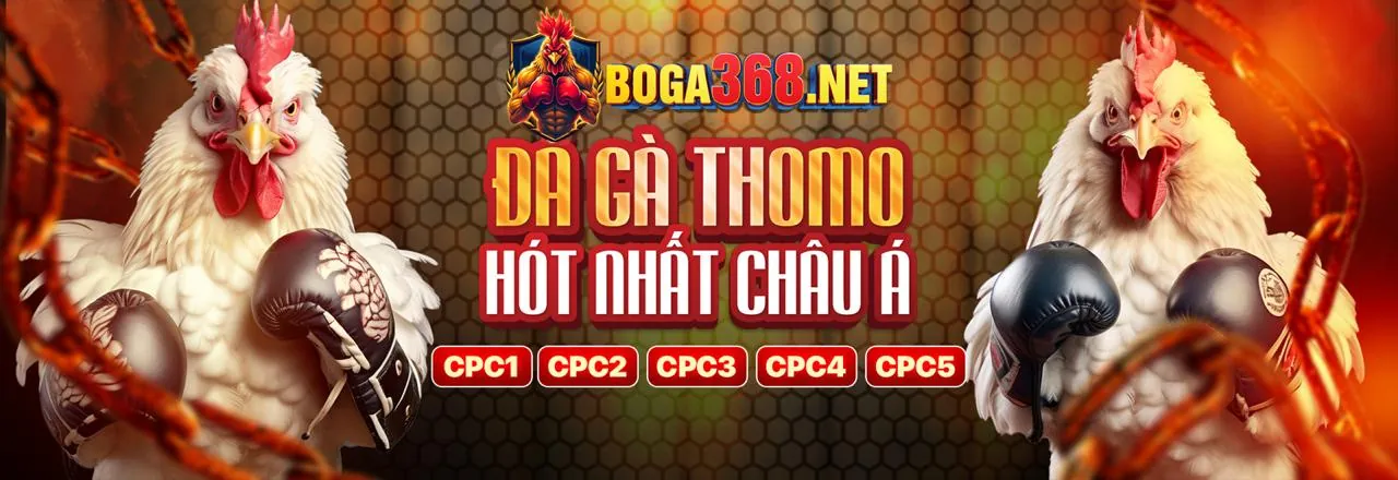 Đá gà trực tuyến kịch tính tại Funn88